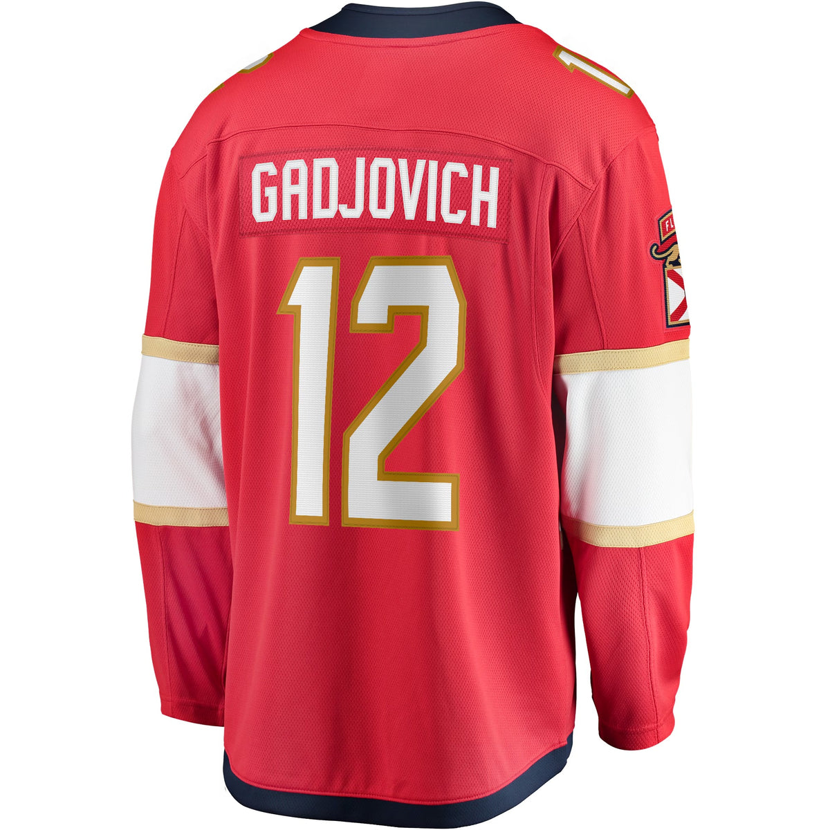 Men's Florida Panthers Jonah Gadjovich Fanatics Red Premier Breakaway Player Jersey