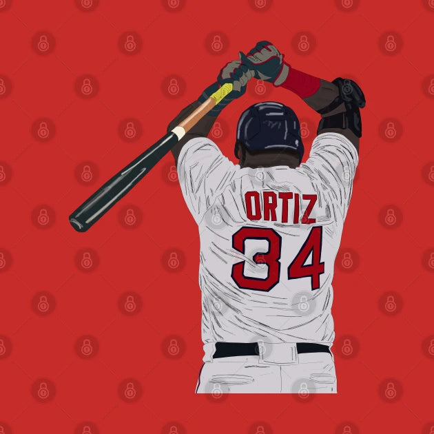 David Ortiz Hoodie