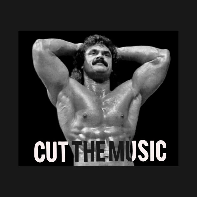 Cut The Music Hoodie