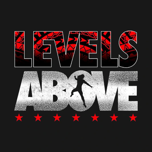 Levels Above Roman Reigns Hoodie