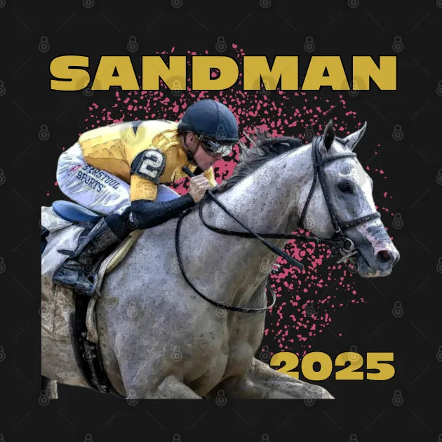 Racehorse Sandman 2025 Hoodie
