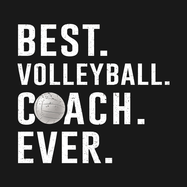 Best Volleyball Coach Ever Gift Hoodie