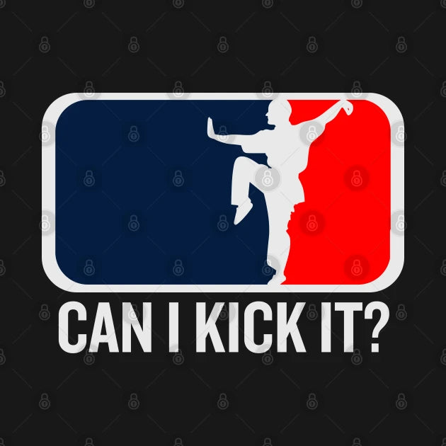 Can I Kick It, Kung Fu, Karate, Can I Kick It Hoodie