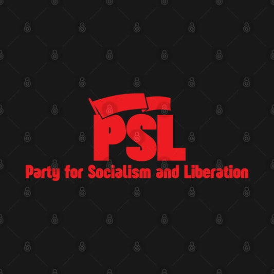 Party For Socialism And Liberation Hoodie