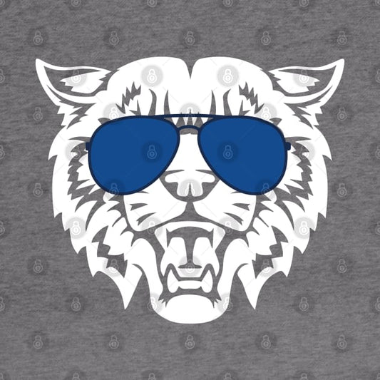 Wildcat Graphic Hoodie