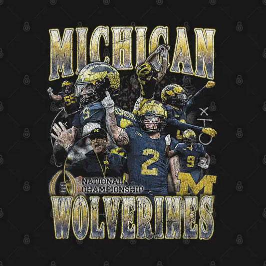 Michigan National Championship Vintage T-Shirt