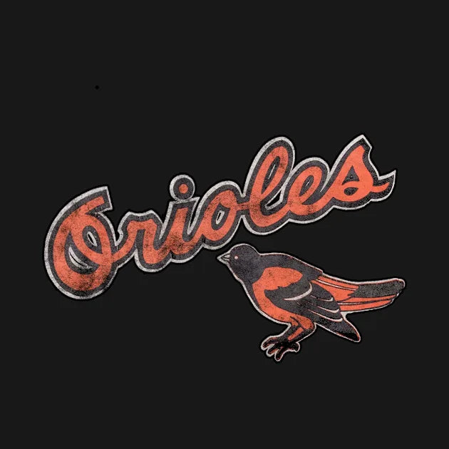 Vintage Champion Mlb Baltimore Orioles Hoodie
