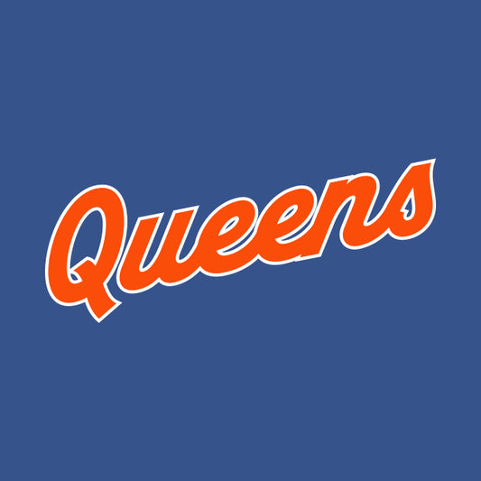 Queens Ny Baseball Hoodie