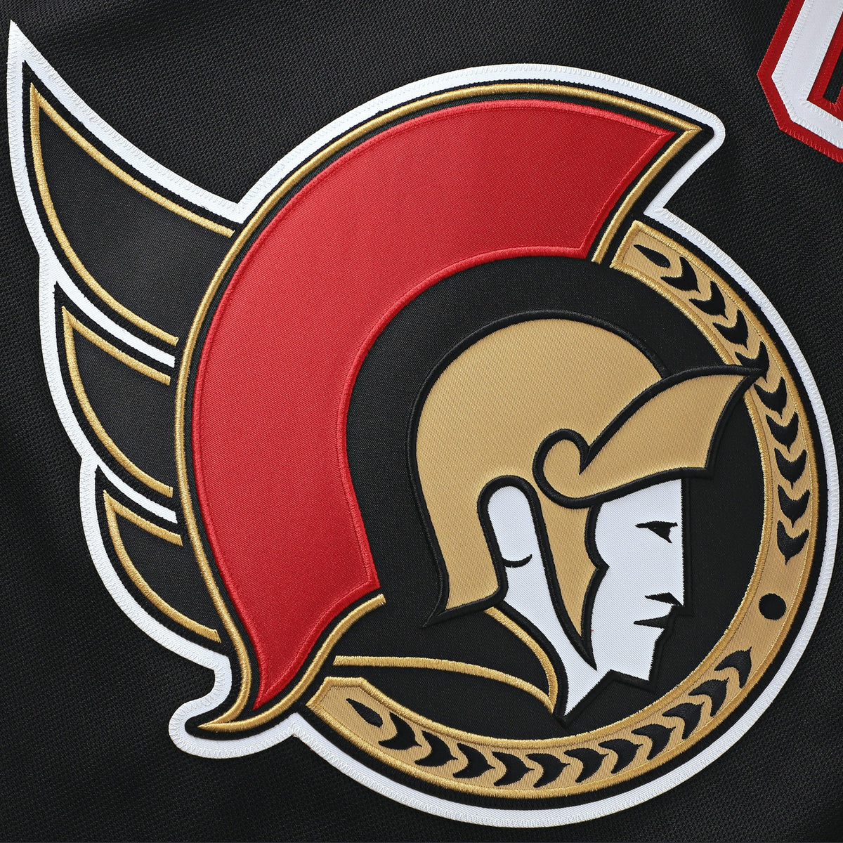 Men's Ottawa Senators Brady Tkachuk Fanatics Black Home Premium Jersey
