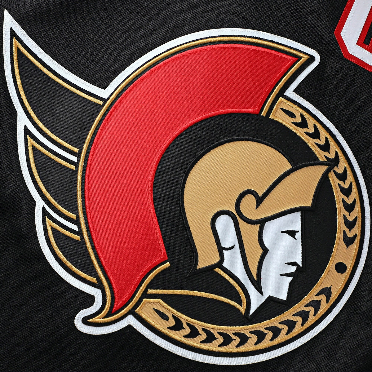 Men's Ottawa Senators Fanatics Black Home Premium Jersey
