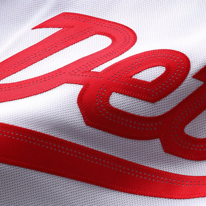 Men's Detroit Red Wings Fanatics White 2025 NHL Stadium Series Premium Jersey