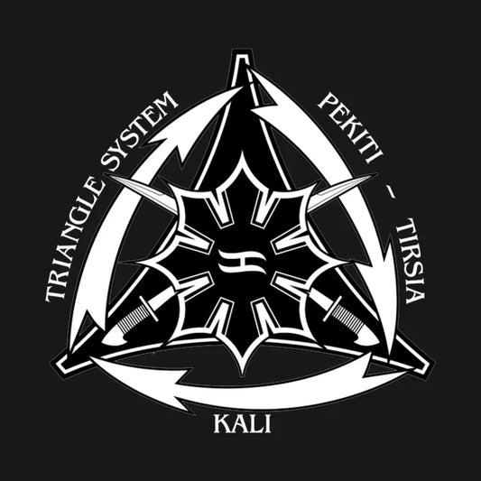 Triangle System With Swords And White Arrows Hoodie
