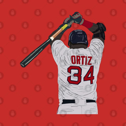 David Ortiz Hoodie
