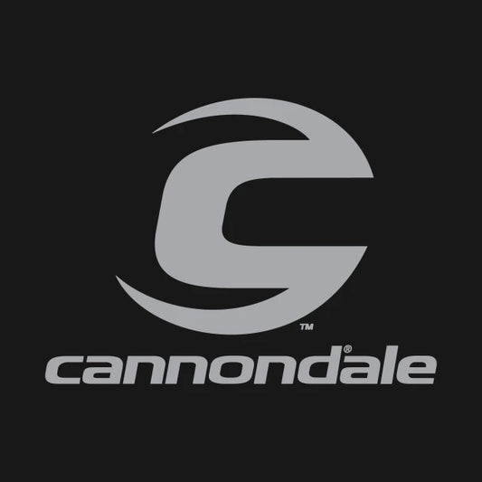 Cannondale Bike Logo Hoodie