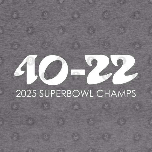Superbowl Champs Hoodie