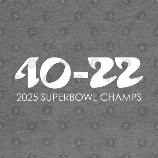 Superbowl Champs Hoodie