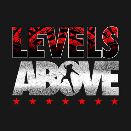 Levels Above Roman Reigns Hoodie