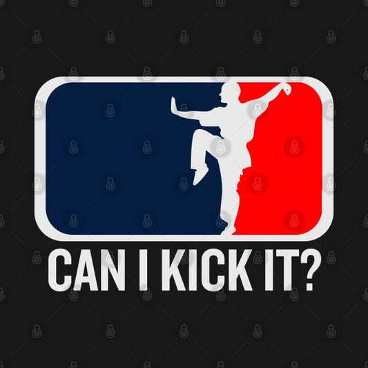 Can I Kick It, Kung Fu, Karate, Can I Kick It Hoodie