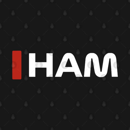 Lewis Hamilton World Champ Hoodie