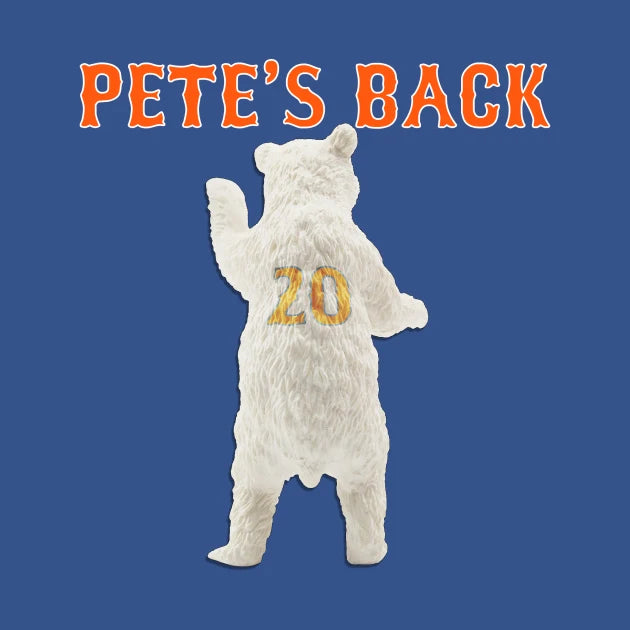 The Polar Bear Is Back! Hoodie