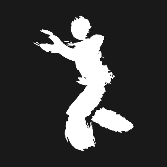Wing Chun Kungfu Hoodie