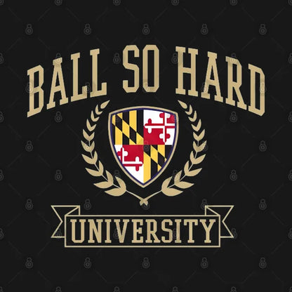 Ball So Hard University Baltimore Ravens - Baloonboo #46 Hoodie