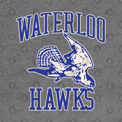 Defunct Waterloo Hawks Basketball Team Hoodie