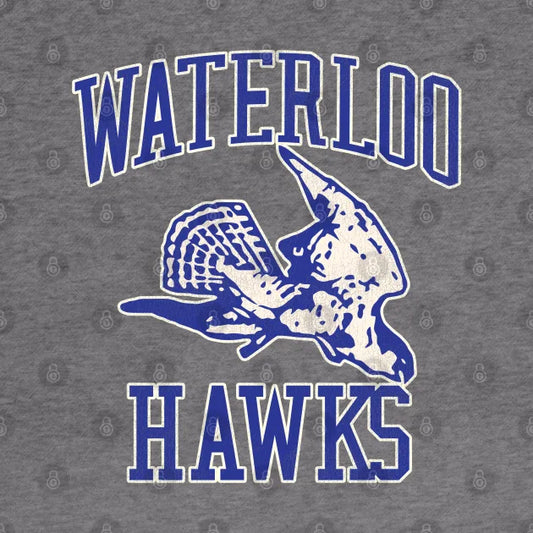 Defunct Waterloo Hawks Basketball Team Hoodie