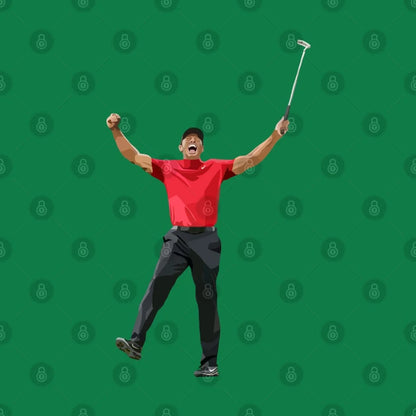Tiger Woods T-Shirt