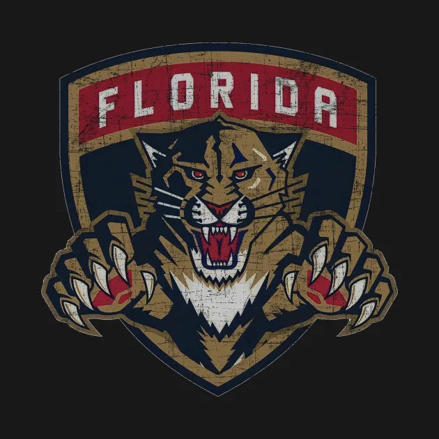 Florida Panthers Vintage Hoodie