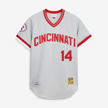 Men's Cincinnati Reds Pete Rose Mitchell & Ness Gray 1976 Authentic Jersey