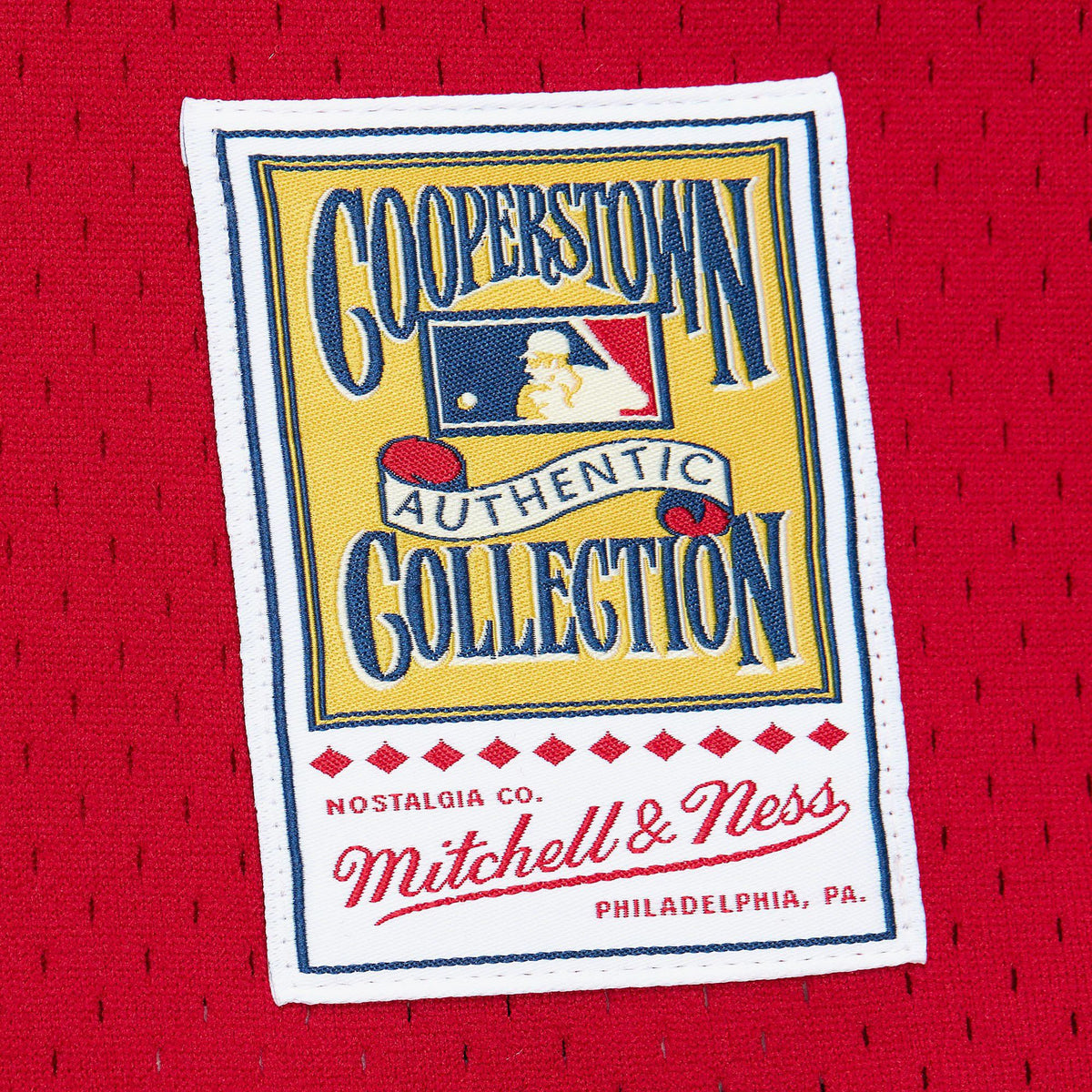 Mitchell & Ness Men's Mark McGwire #25 St. Louis Cardinals Red Mesh Button Up Jersey