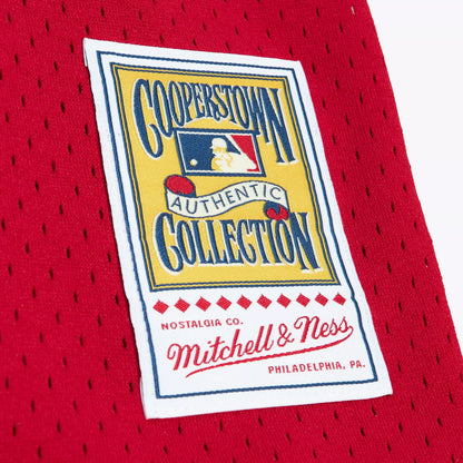 Mitchell & Ness Men's Mark McGwire #25 St. Louis Cardinals Red Mesh Button Up Jersey