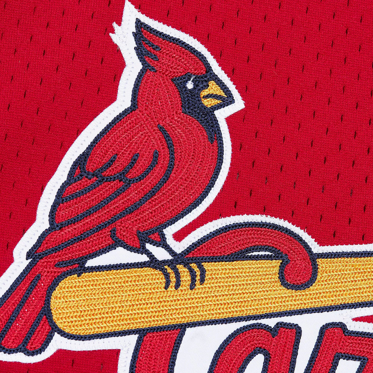 Mitchell & Ness Men's Mark McGwire #25 St. Louis Cardinals Red Mesh Button Up Jersey