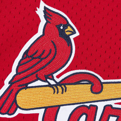 Mitchell & Ness Men's Mark McGwire #25 St. Louis Cardinals Red Mesh Button Up Jersey