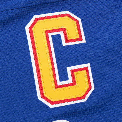 Mitchell & Ness Men's St. Louis Blues Wayne Gretzky #99 1995 Blue Power Play Vintage Replica Jersey
