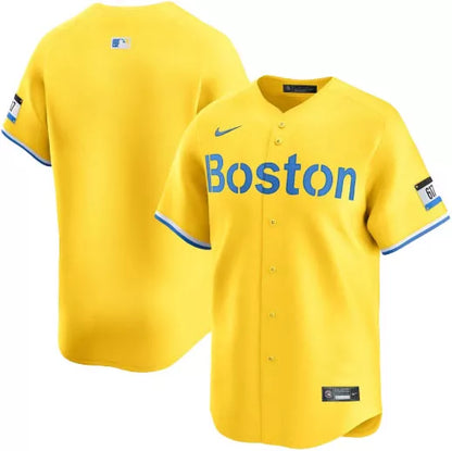Nike Men's Boston Red Sox 2025 City Connect Blank Limited Vapor Jersey