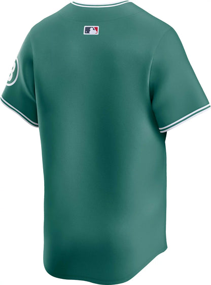 Nike Men's Boston Red Sox City Connect Blank Green Limited Vapor Jersey