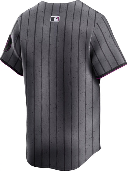 Nike Men's New York Mets City Connect Blank Limited Vapor Jersey