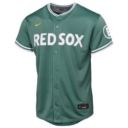 Youth Boston Red Sox Nike Green 2025 City Connect Limited Jersey