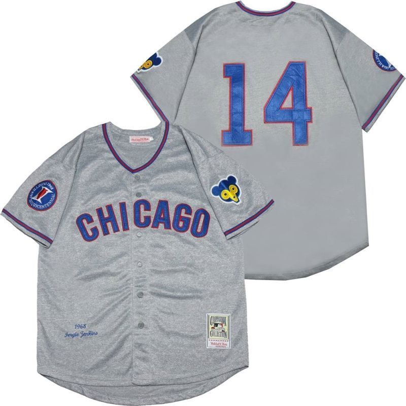Chicago Cubs Ernie Banks 14 2020 Mlb Grey Jersey